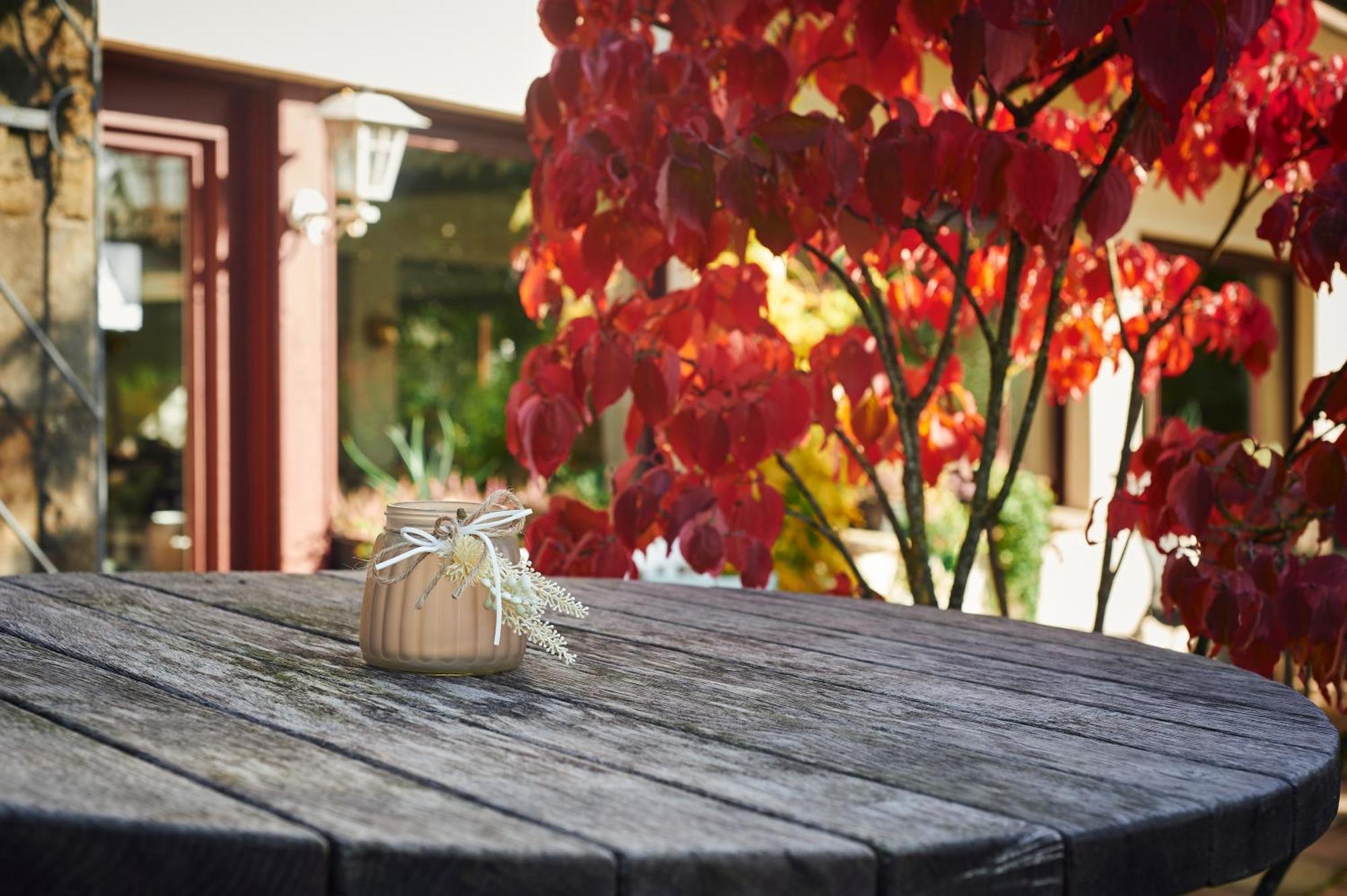 Hotel Restaurant Waldschloesschen Lienen ภายนอก รูปภาพ
